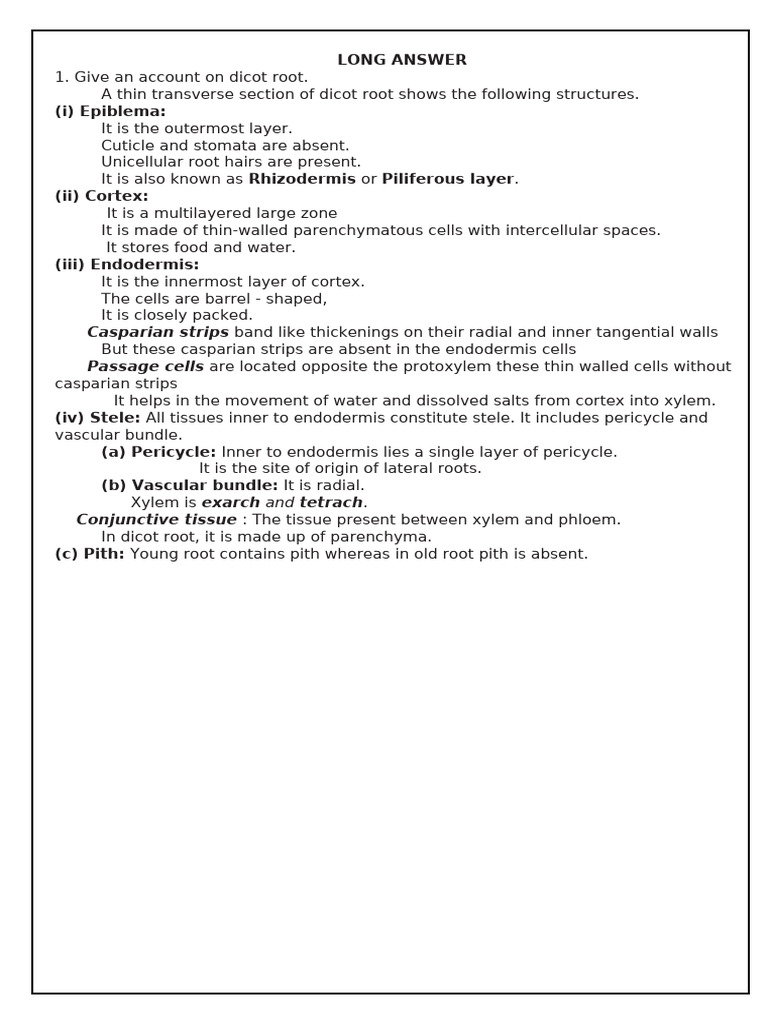 Dicot Root Structure And Plant Anatomy Pdf Tissue Biology Plant