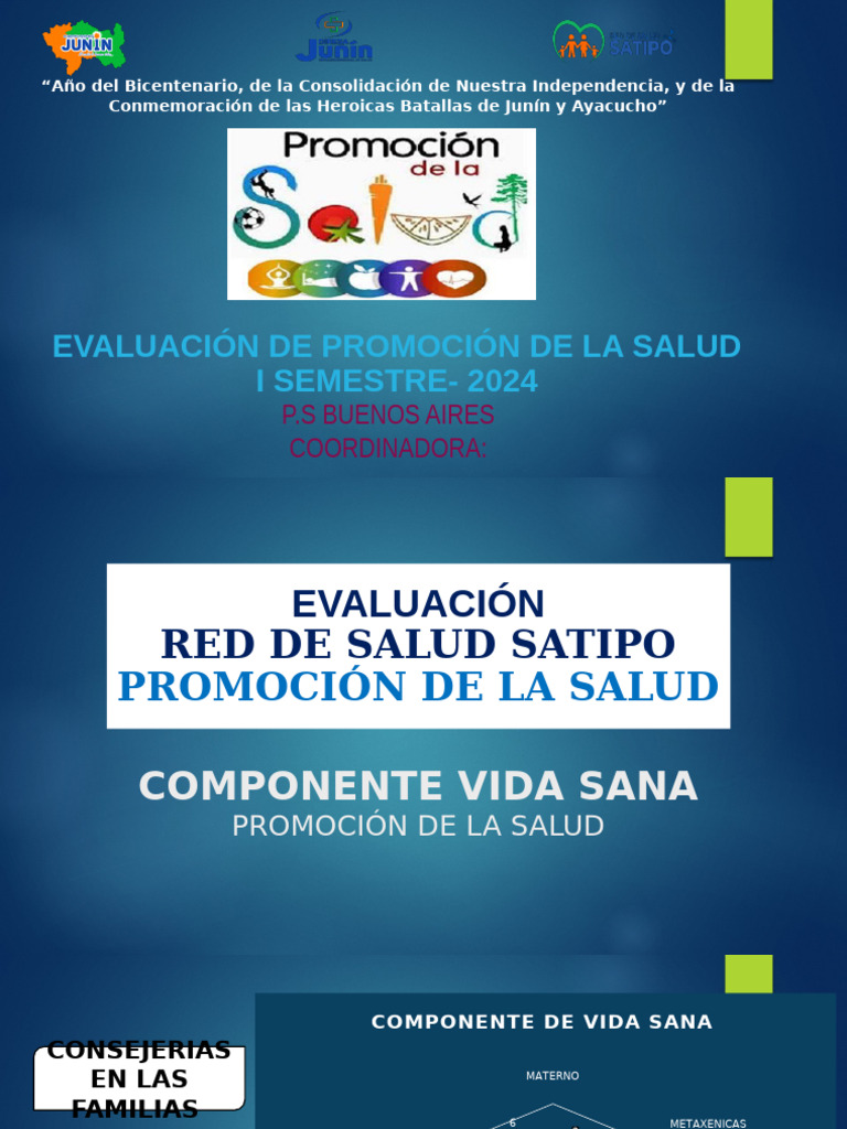 PP.T Promsa 1er Semestre P.s.buenos Aires.2024 | PDF