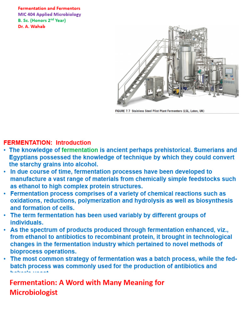 Understanding Fermentation Processes | PDF | Metabolism | Fermentation