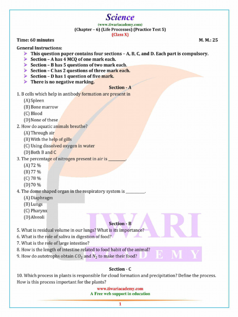 10 Science Chapter 6 Practice Test 5 | PDF