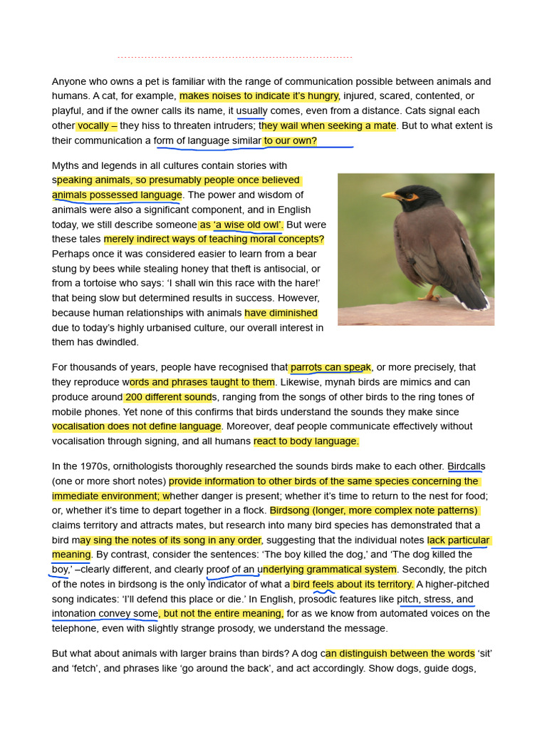 Birds Language Reading | PDF | Chimpanzee | Communication