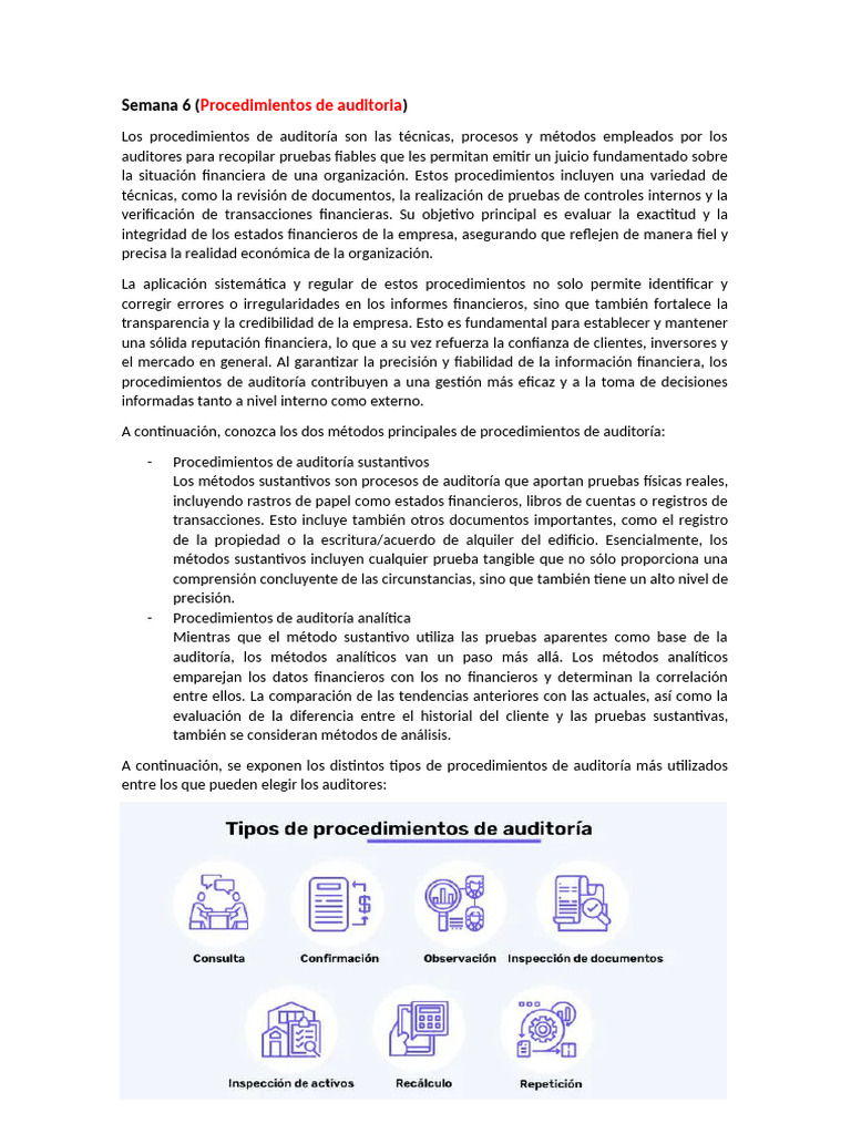 Procedimientos de Auditoría Esenciales | PDF | Auditoría | Business
