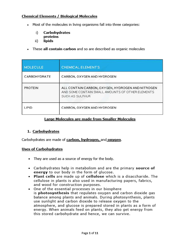 Biological Molecules and Food Tests | PDF | Carbohydrates | Glucose