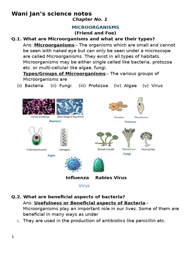 Microorganisms: Types and Effects | PDF | Food Preservation | Microorganism