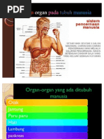 Download Sistem Organ Pada Tubuh Manusia by Abdi Sangnga Prima SN82201547 doc pdf