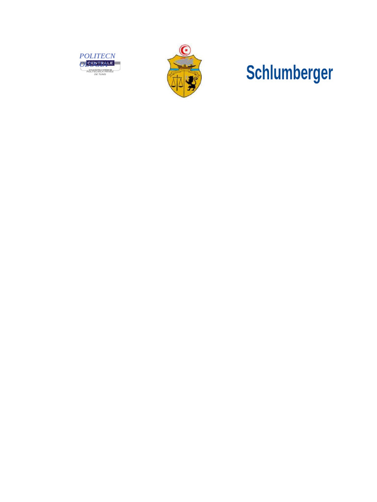 Conclusão de Poço Schlumberger | PDF | Poço de petróleo | Válvula