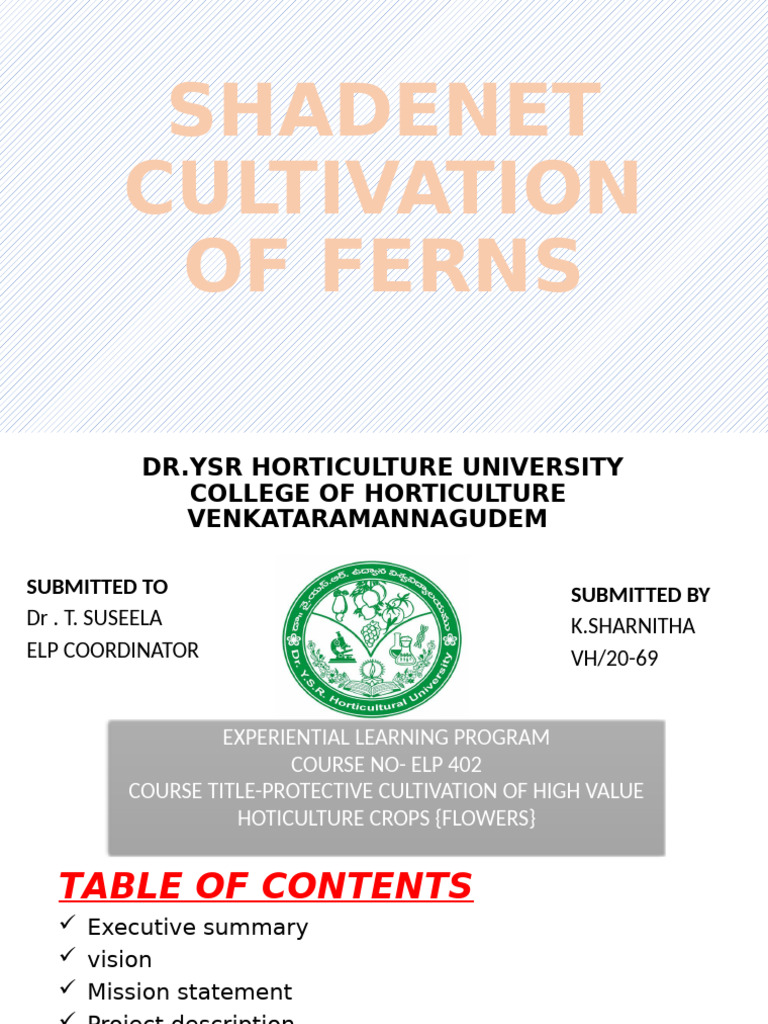 Shade Net Cultivation of Ferns | PDF | Soil | Fern