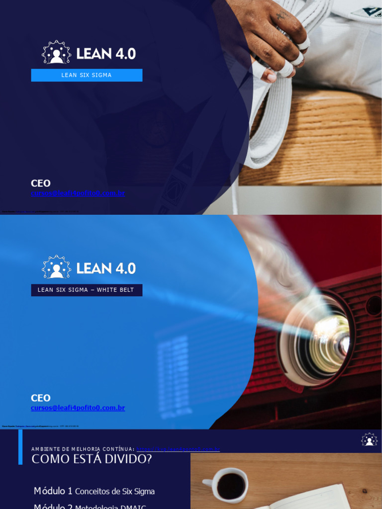Curso White Belt em Lean Six Sigma | PDF | Seis Sigma