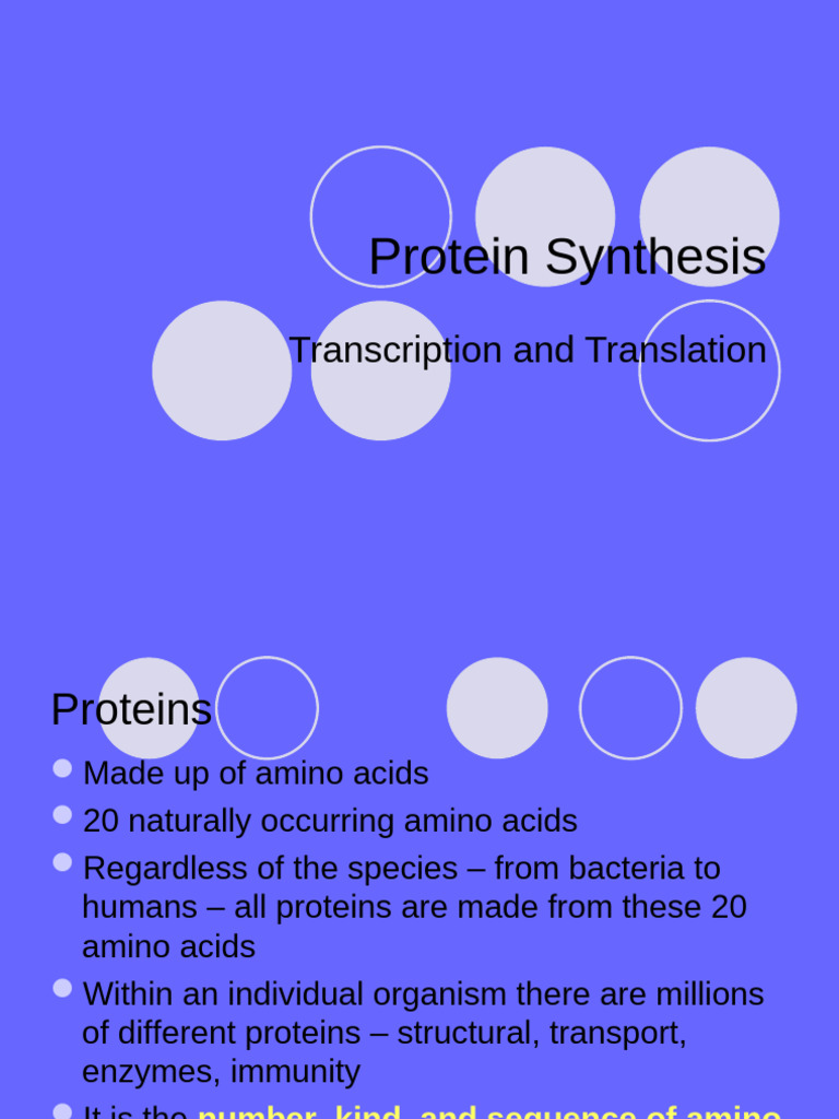 Understanding Protein Synthesis | PDF | Translation (Biology ...