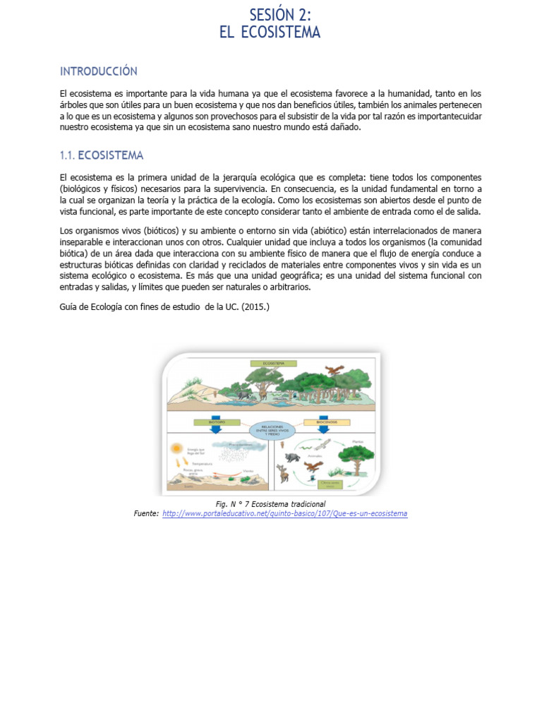 Importancia y Dinámica del Ecosistema | PDF | Ecosistema | Ecología