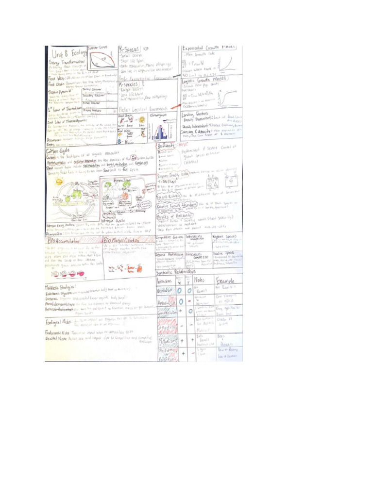 Unit 8 Notes | PDF