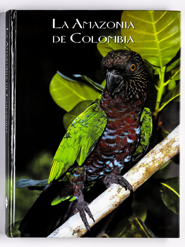 2008 - La Amazonía de Colombia | PDF
