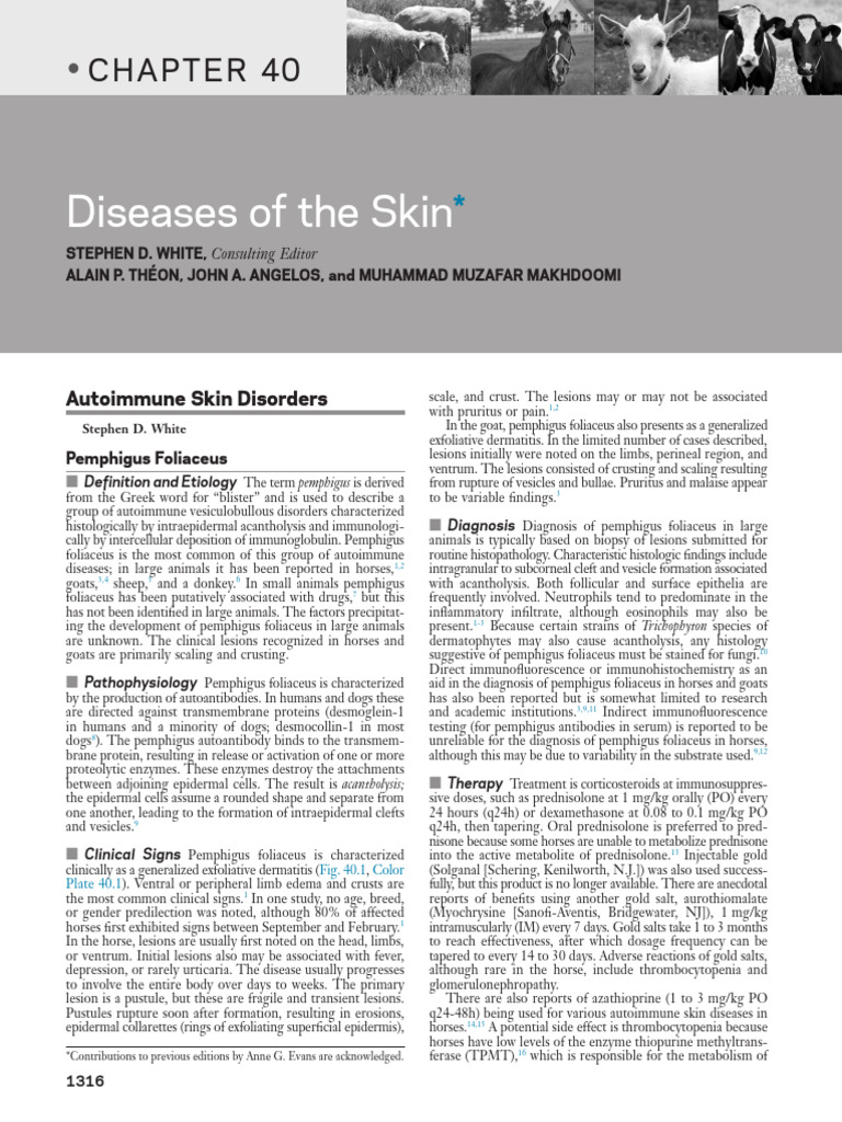 Disease of The Skin Book | PDF | Allergy | Allergen