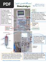NX Stage | PDF | Vein | Hemodynamics