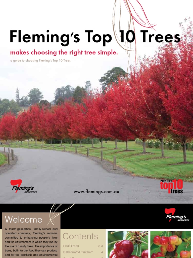 Flemings Top 10 Trees Maple Trees