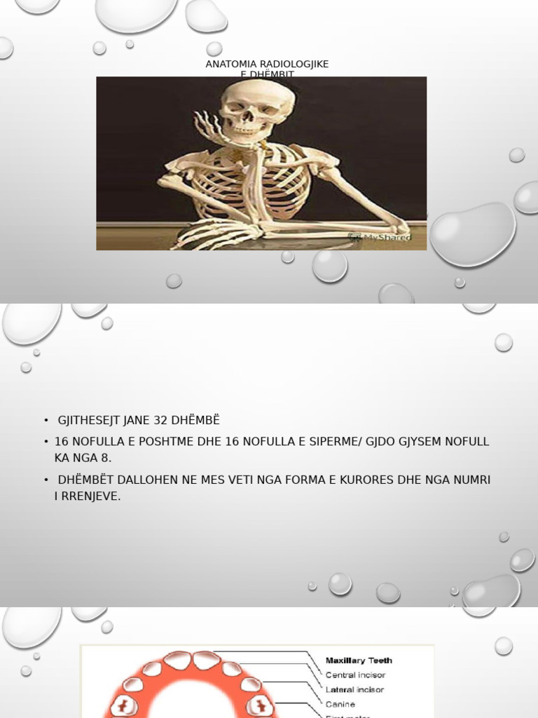 Anatomia Radiologjike e Dhëmbit | PDF