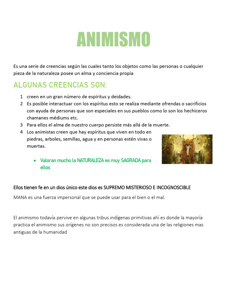 ANIMISMO | PDF