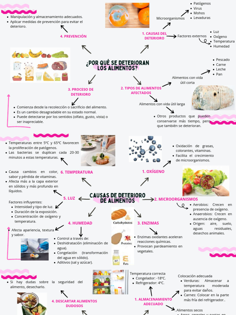 Prevención del Deterioro de Alimentos | PDF | Alimentos | Carne