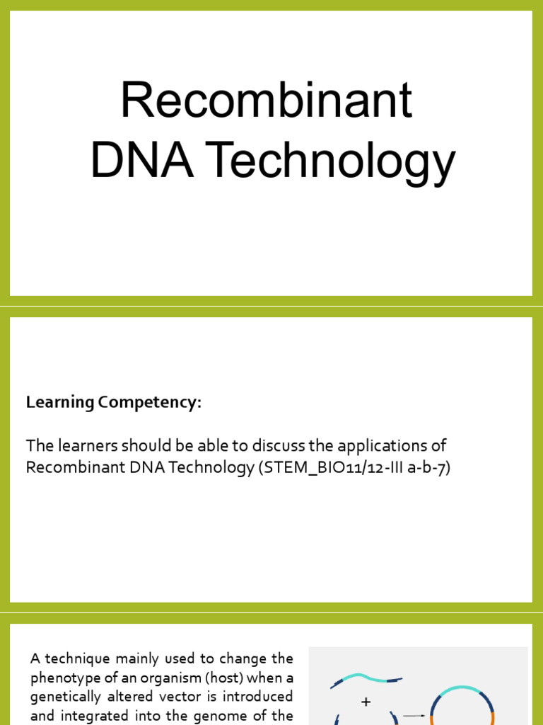 3Recombinant-DNA-Technology | PDF | Recombinant Dna | Molecular Cloning