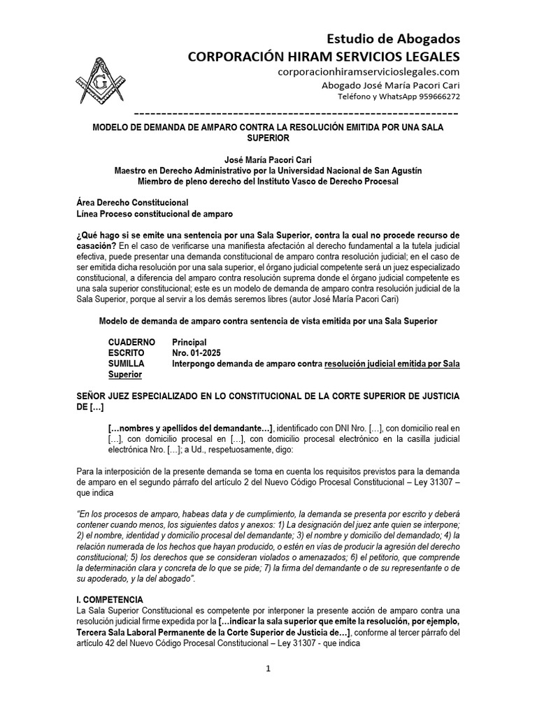 Modelo de Demanda de Amparo Judicial | PDF | Demanda judicial | Ley ...