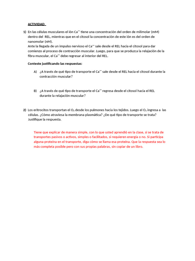 Transporte de Ca++ y O2 en Células Musculares | PDF