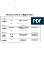 Classification Des Carbapenemases