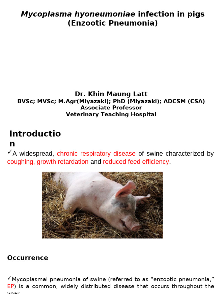 Bacterial Diseases of Pigs - 3e3decc5 07c8 4b88 94e3 b21b896fb2d9 | PDF ...