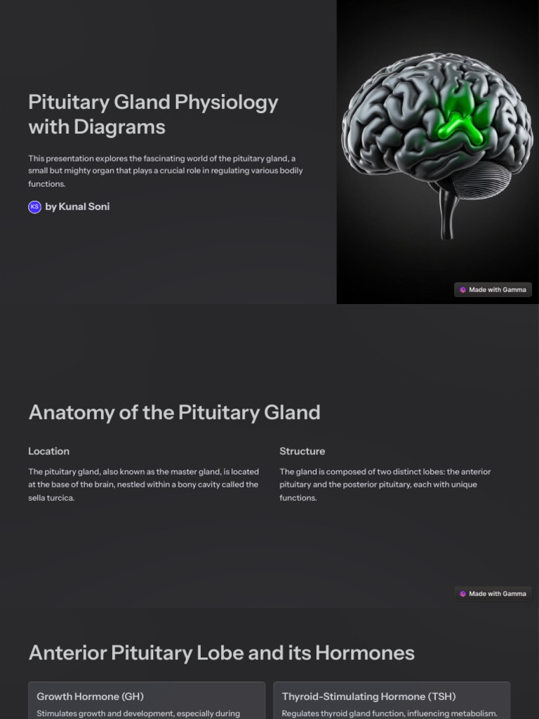 Pituitary Gland Physiology Overview | PDF | Pituitary Gland | Endocrine ...