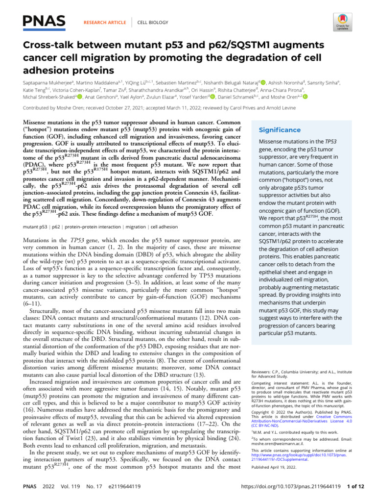 Mukherjee Et Al 2022 Cross Talk Between Mutant p53 and p62 Sqstm1 ...