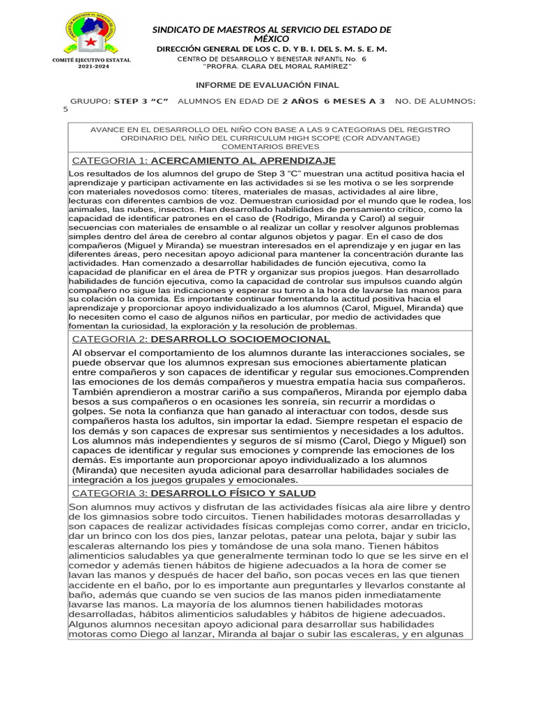 Informe de Evaluación Infantil Step 3C | PDF | Las emociones | Pensamiento
