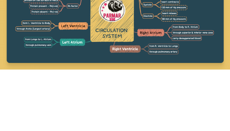 Circulation System FRB | PDF