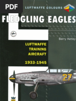 Fledgling Eagles - Luftwaffe Training Aircraft 1933-1945 (Luftwaffe Colours)