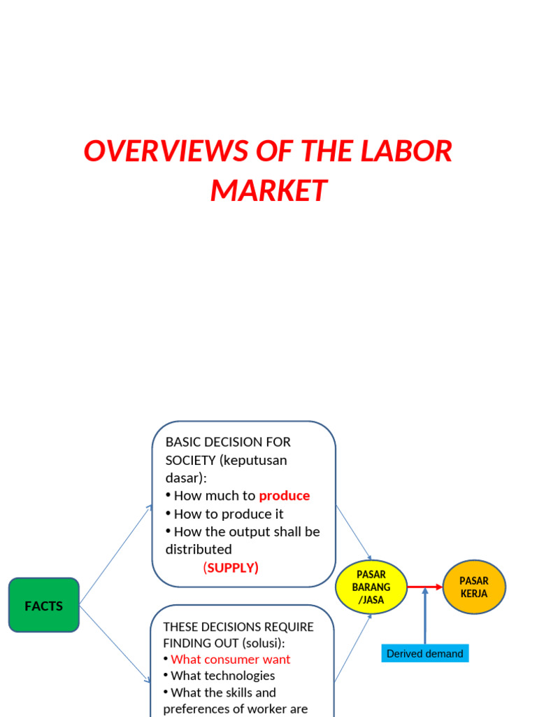 II-overview of The Labor Market | PDF