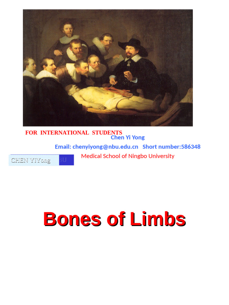 Bones Of Limbs Pdf Human Leg Human Anatomy