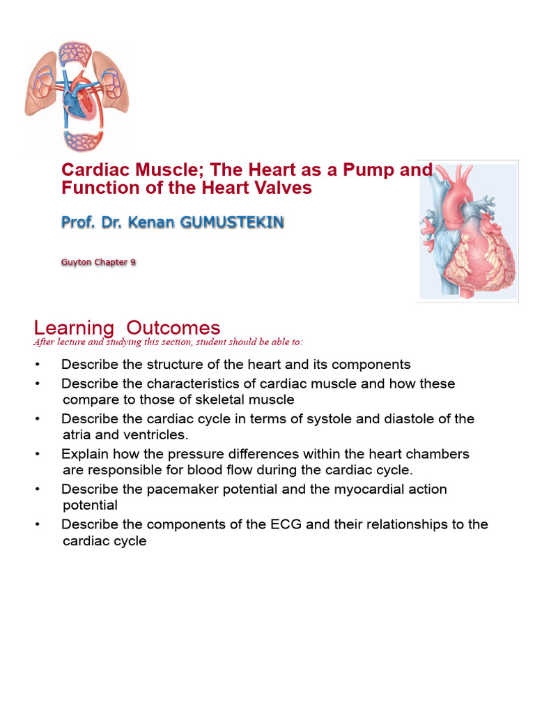 Screenshot 2023-06-13 at 1.21.08 PM | PDF | Diastole | Heart Valve