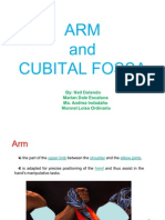 (Gen Ana) Arm and Cubital Fossa