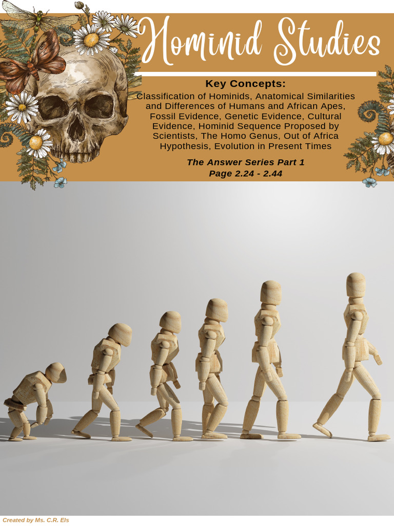 Hominid Classification and Anatomy Insights | PDF | Hominidae | Homo