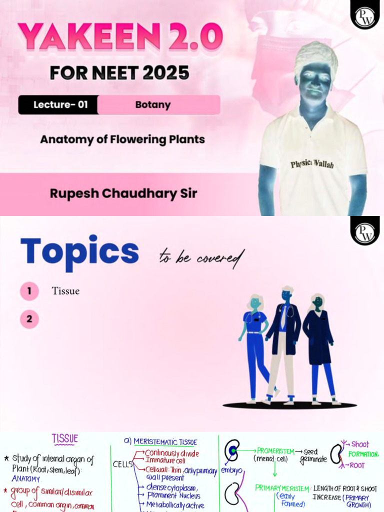 Anatomy of Flowering Plants 01 Class Notes Yakeen NEET 2-Invert-Merge | PDF