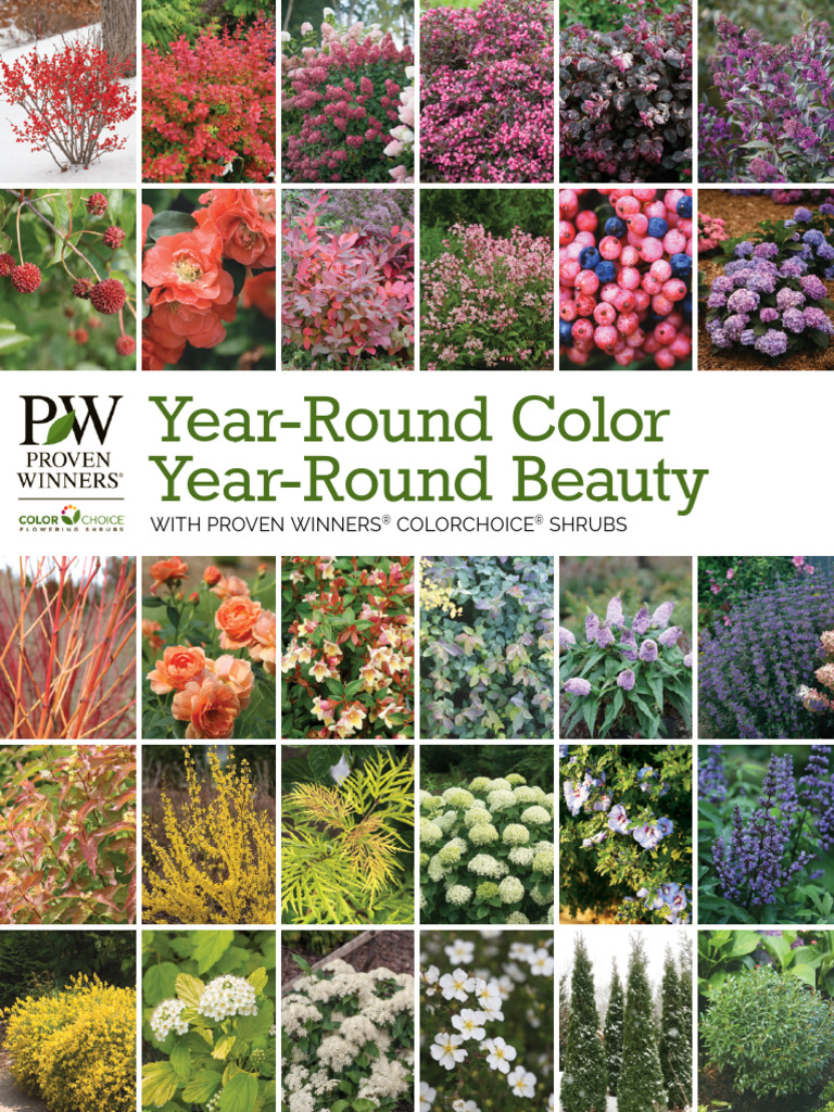Year Round Color Web | PDF | Botany | Plants