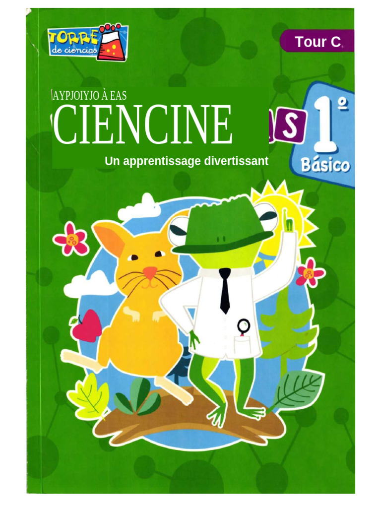 Kaléidoscope Classique en Bois – Éducatif Naturel, Jouet Rotatif Magique, Tube Optique | Apprentissage Scientifique pour Garçons Et Filles