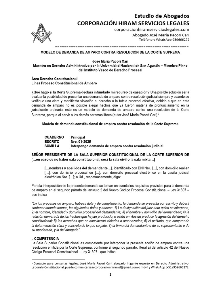 Modelo de Demanda de Amparo Judicial | PDF | Demanda judicial | Ley ...