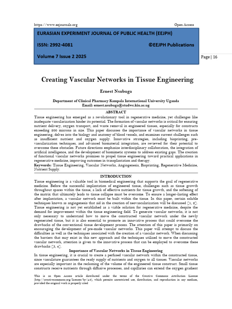 Vascular Networks in Tissue Engineering | PDF | Blood Vessel | Angiogenesis