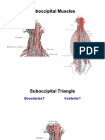 8 Posterior Triangle of the Neck E-learning