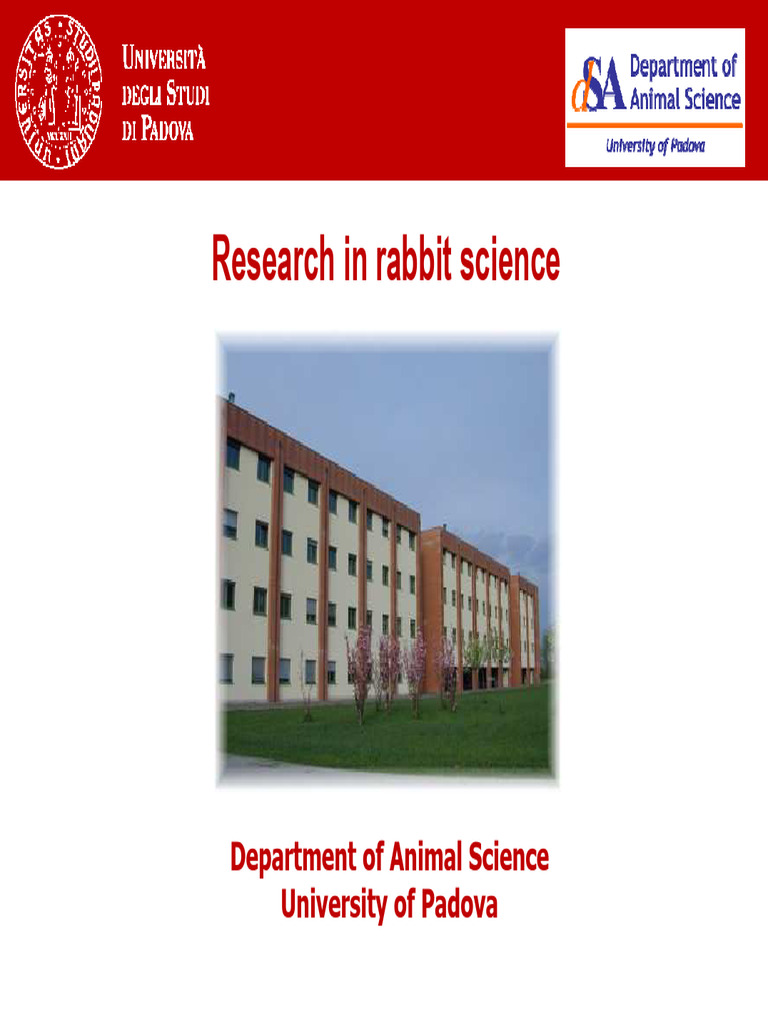 Rabbit Science Research Overview | PDF | Proteins | In Vitro