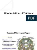 8 Muscles Root of the Neck E-learning