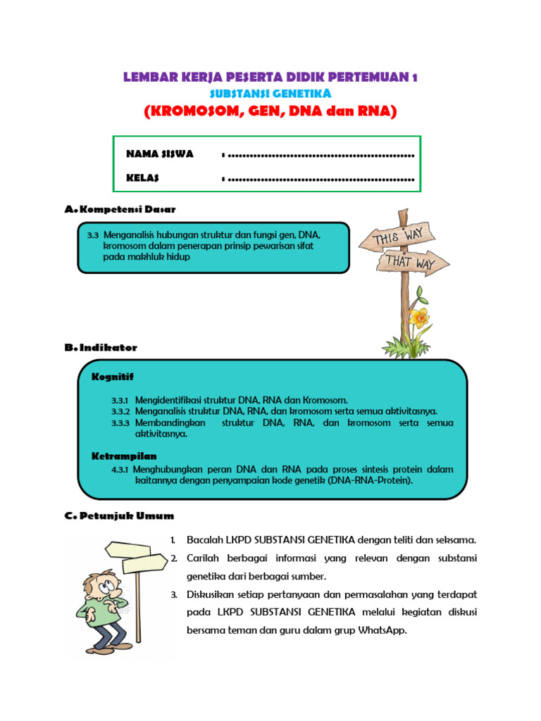 LKPD 2_KROMOSOM, DNA dan RNA | PDF