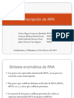 Transcripción de ARN 