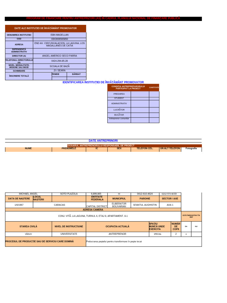 Format Model de Proiect 1 | PDF