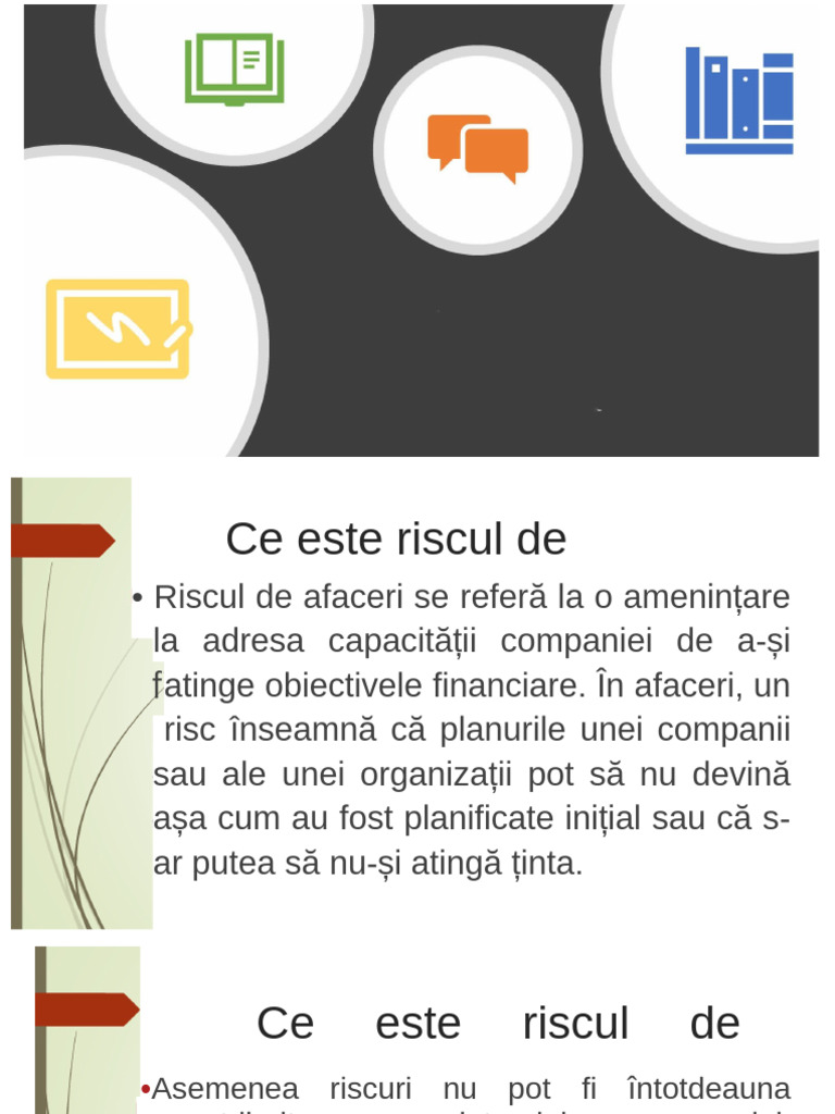 Riscul de Afaceri | PDF