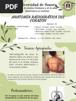 Diferencias entre Rx de Tórax AP y PA | PDF | Tórax (anatomía humana ...